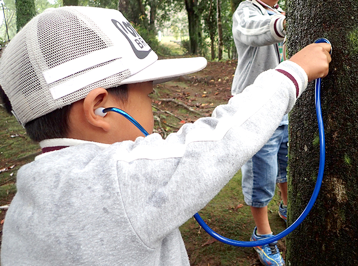 ネイチャーゲーム 無料