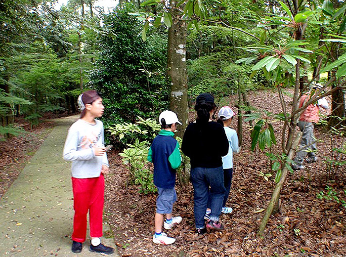 フィールドビンゴと森の間違い探し 0円