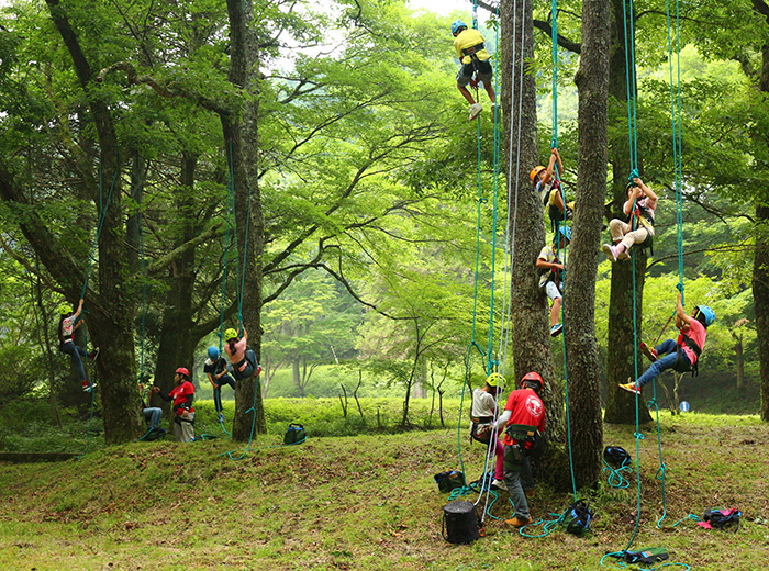 木登り 500円
