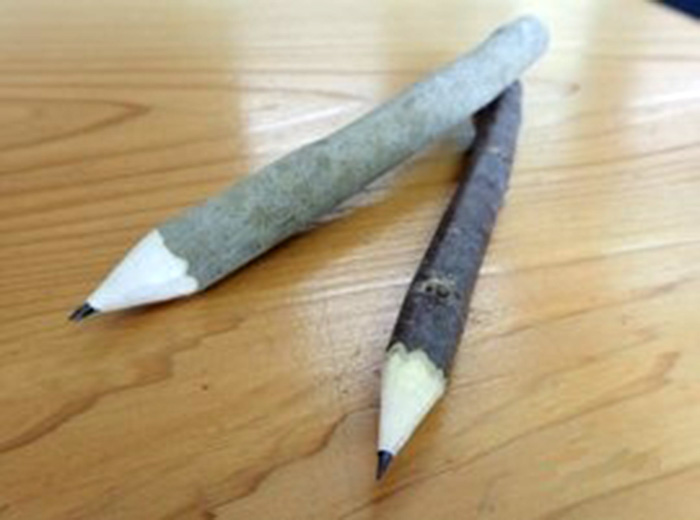 森のえんぴつづくり (注)午後のみ 無料