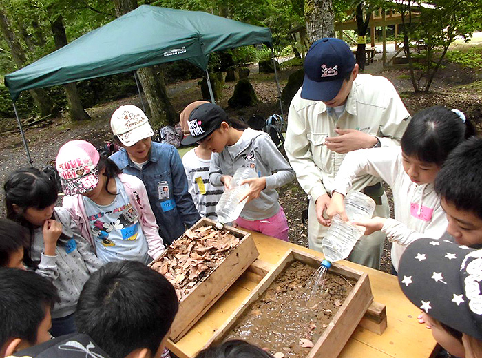 森の実験 0円