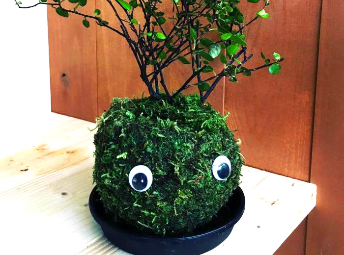 コケ玉くん 200円