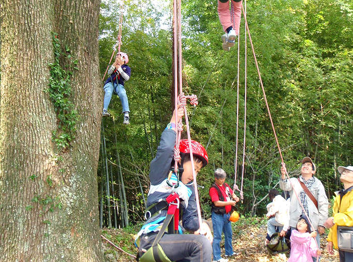 ツリークライミング 無料