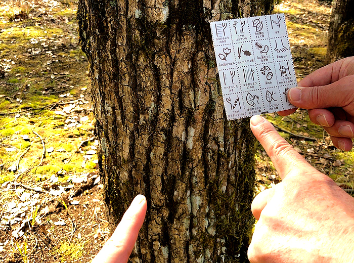 森のビンゴゲーム 無料