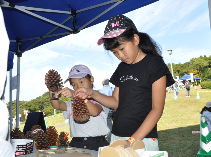 松ぼっくりツリー 無料