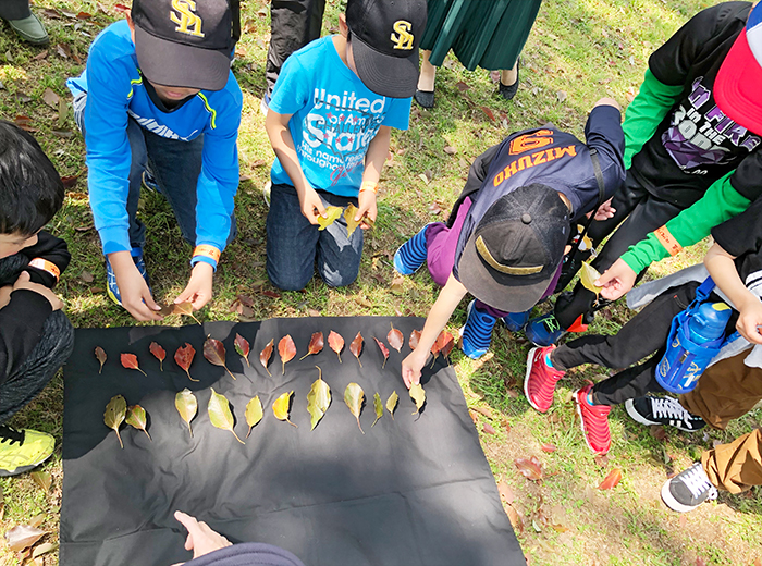 ネイチャーゲーム 無料