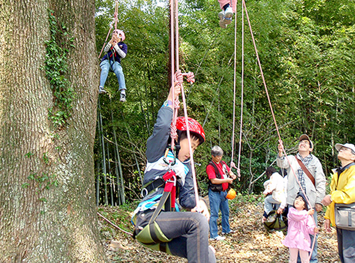 樹上へようこそ!樹木と友達になろう! 500円