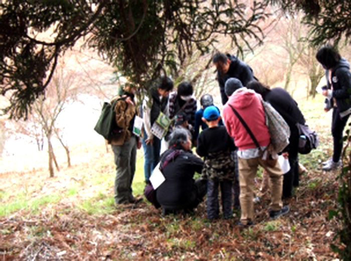 生き物観察会 無料