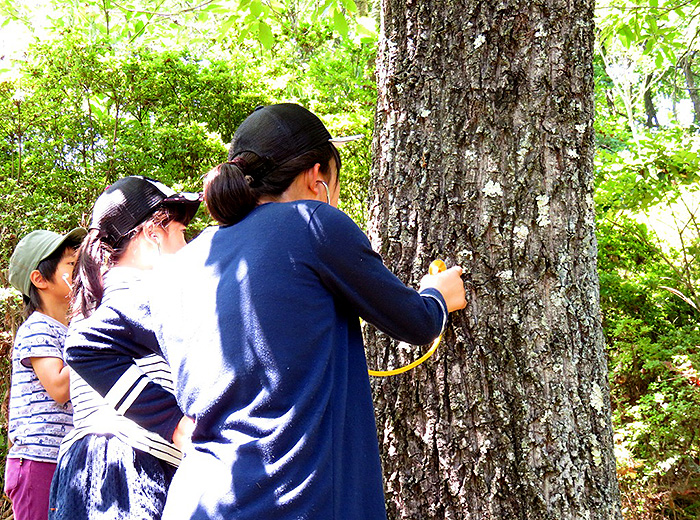 ネイチャーゲーム 200円