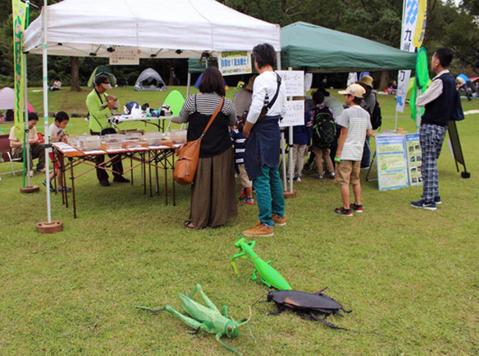 目指せ!昆虫博士! 0円