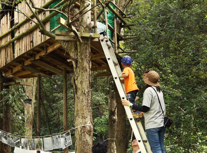ツリーハウス 0円