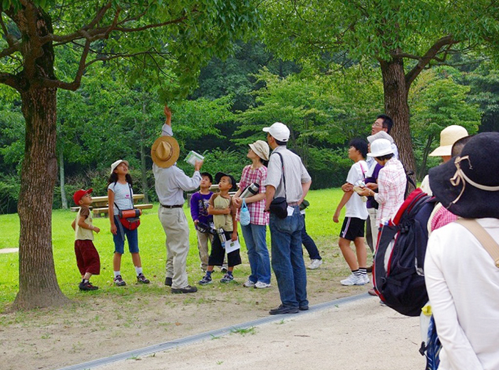 自然観察ウォーク&ドローンからの観察 0円