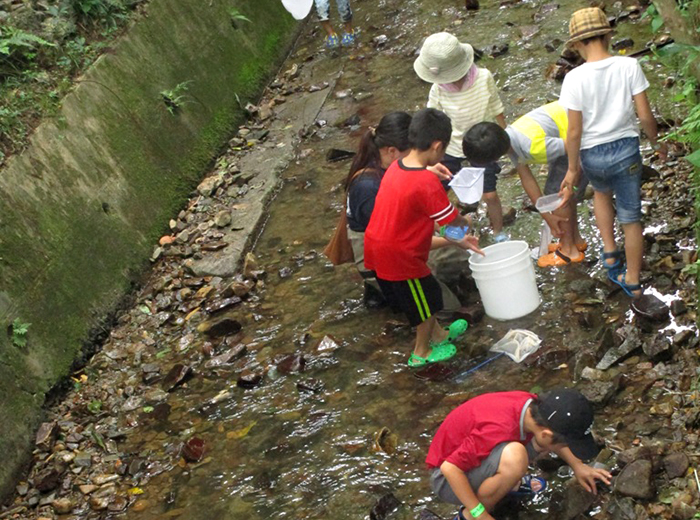 水生昆虫採集 0円