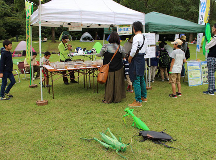 目指せ!昆虫博士! 無料