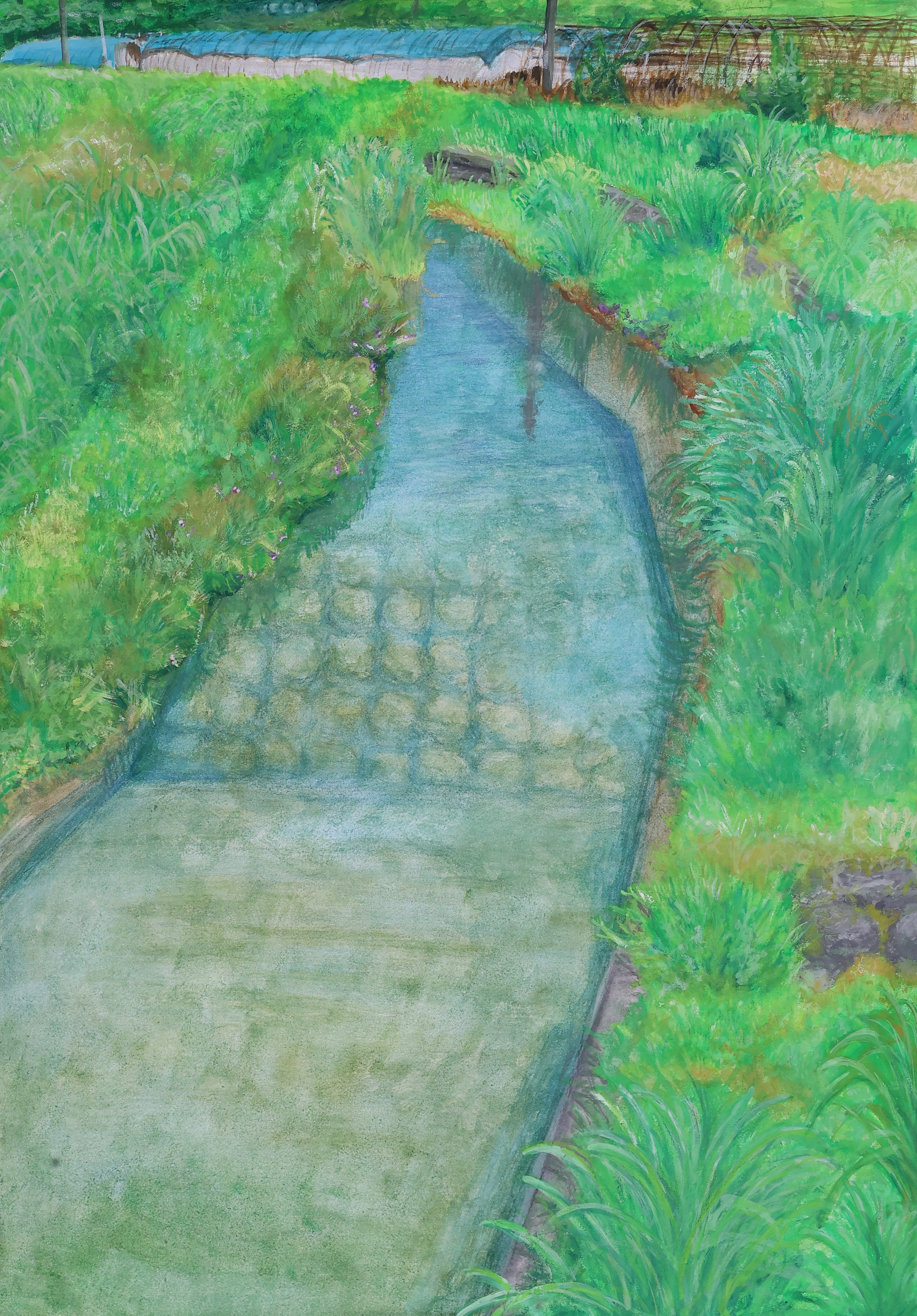 銅賞作品