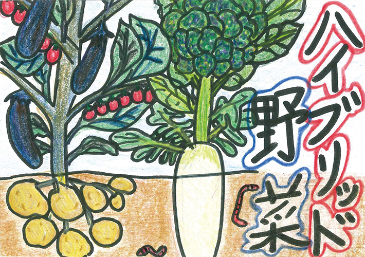 大分合同新聞社賞作品