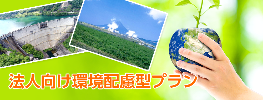法人向け環境配慮型プラン