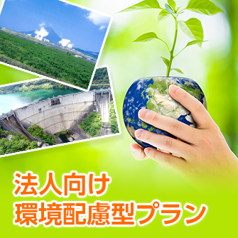法人向け環境配慮型プラン