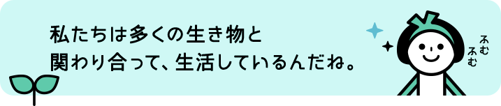 私たちは多くの生き物と関わり合って、生活しているんだね。