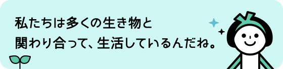 私たちは多くの生き物と関わり合って、生活しているんだね。