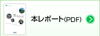 本レポート（PDF）