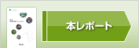 本レポート（PDF）