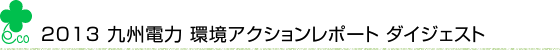 2013九州電力環境アクションレポートダイジェスト