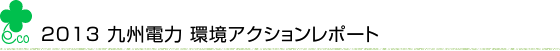 2013九州電力環境アクションレポート