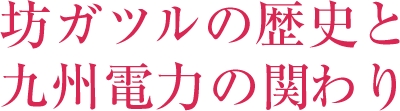 坊ガツルの歴史と九州電力の関わり