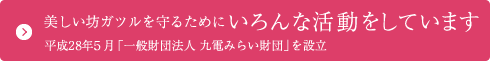 美しい坊ガツルを守るためにいろんな活動をしています 平成28年5月「一般財団法人 九電みらい財団」を設立(別ウインドウ)