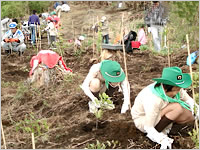https://www.kyuden.co.jp/library/image/kankyo/forest/2007/aso2007.jpg