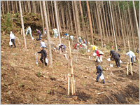 https://www.kyuden.co.jp/library/image/kankyo/forest/2007/asodai2007.jpg