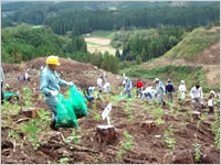 https://www.kyuden.co.jp/library/image/kankyo/forest/2007/take2007.jpg