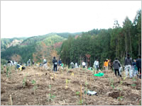 https://www.kyuden.co.jp/library/image/kankyo/forest/2007/yama2007.jpg