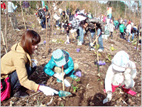 植樹の様子 植樹の様子