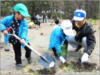 植樹時の様子