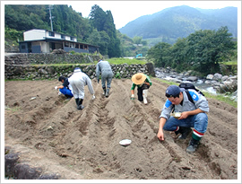 棚田が荒れないための維持管理作業（ソバの種まき）