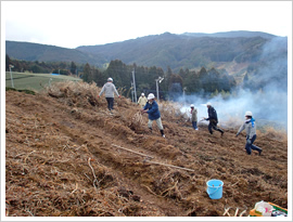 茶園の片付け（茶株の除去・焼却作業）