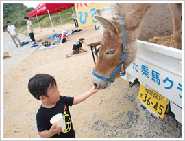 ロバとのふれ合い