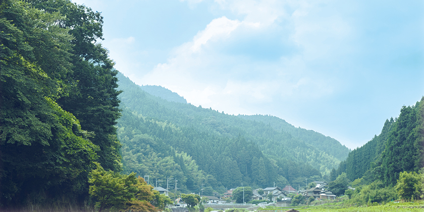 国道211号線沿いの風景の写真