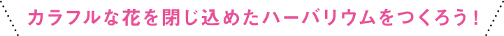 カラフルな花を閉じ込めたハーバリウムをつくろう！