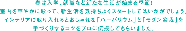 春は入学、就職など新たな生活が始まる季節！室内を華やかに彩って、新生活を気持ちよくスタートしてはいかがでしょう。インテリアに取り入れるとおしゃれな「ハーバリウム」と「モダン盆栽」を手づくりするコツをプロに伝授してもらいました。