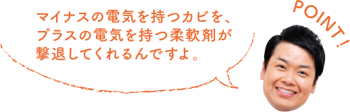 POINT！ マイナスの電気を持つカビを、プラスの電気を持つ柔軟剤が撃退してくれるんですよ。