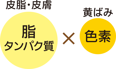 皮脂や皮膚の脂 タンパク質と黄ばみ色素が組み合わさった汚れ