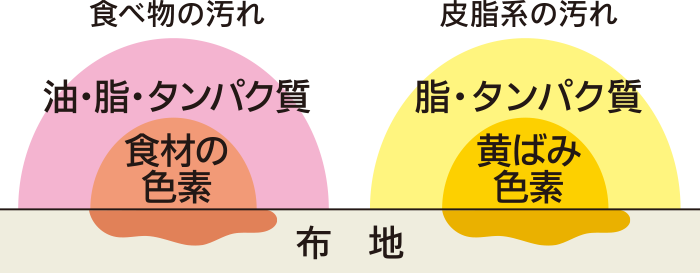 食べ物の汚れは布地の上に食材の色素が付着し、表面に油・脂・タンパク質が重なった汚れ、皮脂系の汚れは布地の上に黄ばみ色素が付着し、表面に脂・タンパク質が重なった汚れです