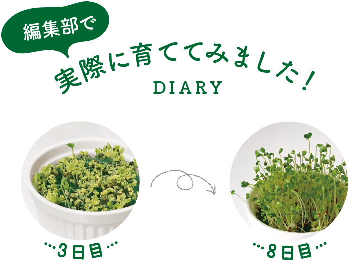 編集部で実際に育ててみました！ DIARY ３日目から８日目の変化の写真