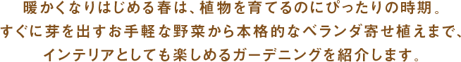 暖かくなりはじめる春は、植物を育てるのにぴったりの時期。すぐに芽を出すお手軽な野菜から本格的なベランダ寄せ植えまで、インテリアとしても楽しめるガーデニングを紹介します。