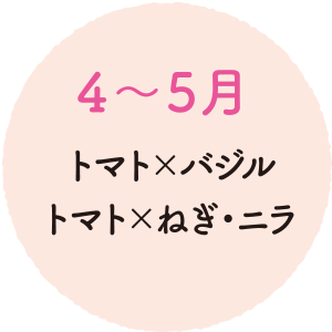 ４～５月 トマトとバジル トマトとねぎ・ニラ