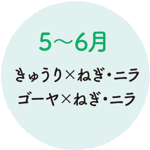 ５～６月 きゅうりとねぎ・ニラ ゴーヤとねぎ・ニラ