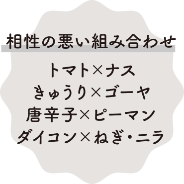 相性の悪い組み合わせ トマトとナス きゅうりとゴーヤ 唐辛子とピーマン ダイコンとねぎ・ニラ